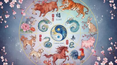 Metai pagal gyvūnus