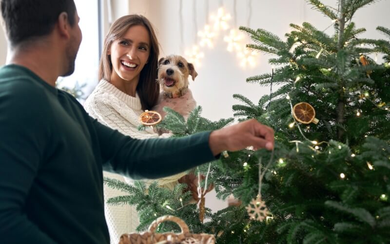 Kalėdų eglutės puošimas